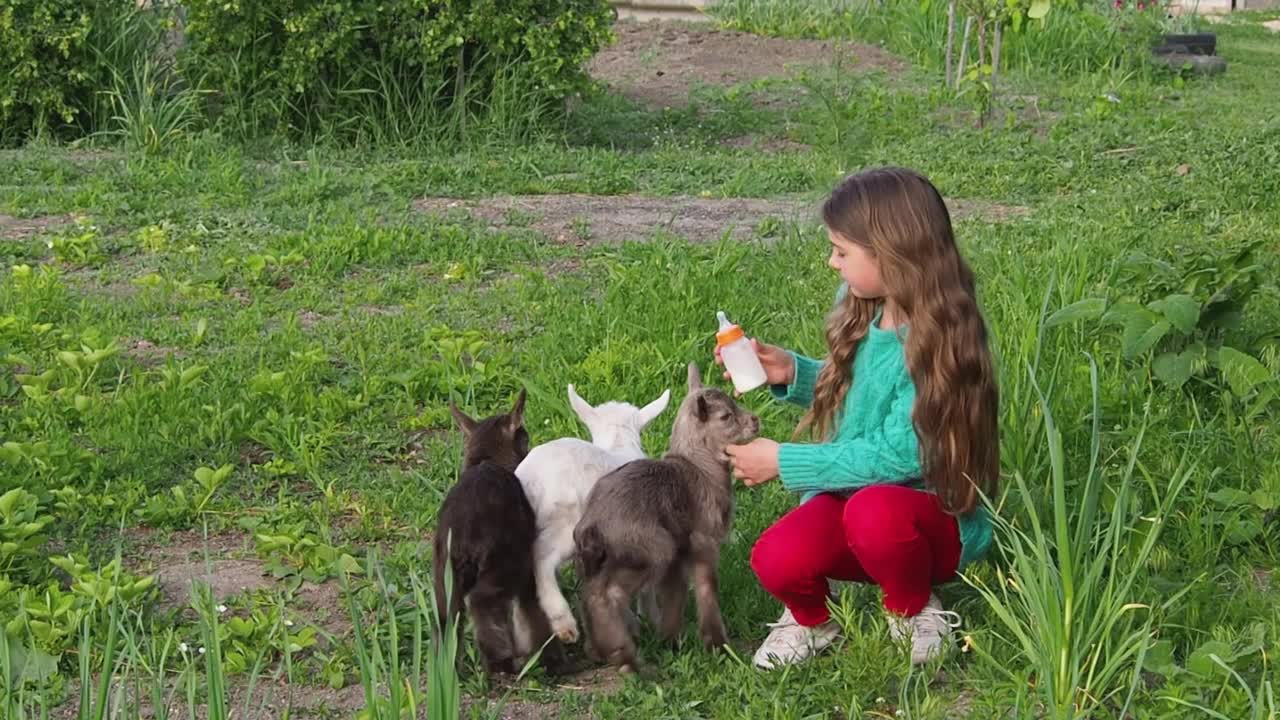 一个女孩和小山羊在绿色的草地上。视频素材