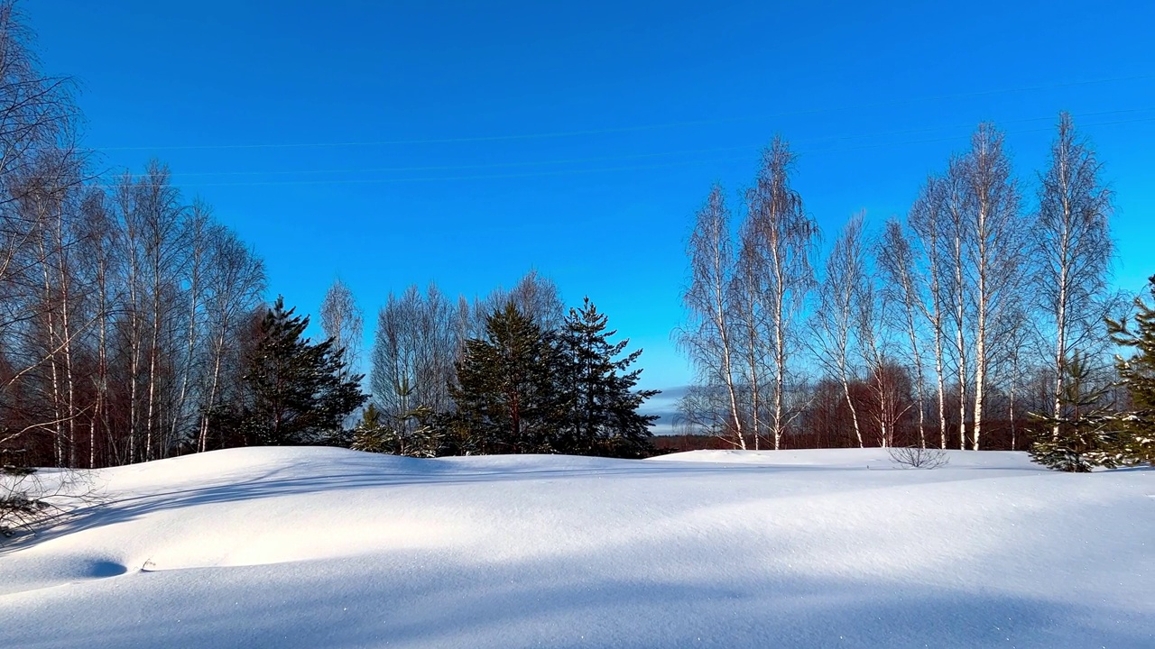 冬雪纷飞的乡村森林。俄罗斯村庄被大雪覆盖着。俄罗斯的冬天视频素材