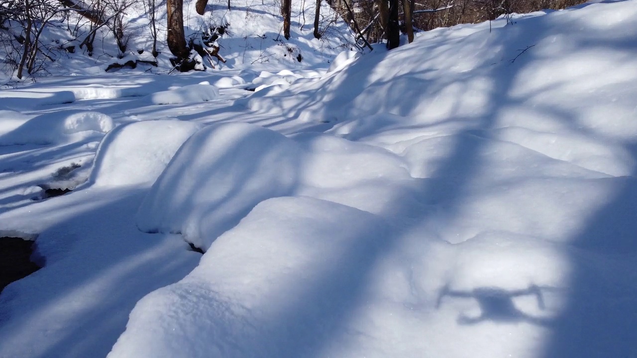 冬天树林里的冰雪河视频素材