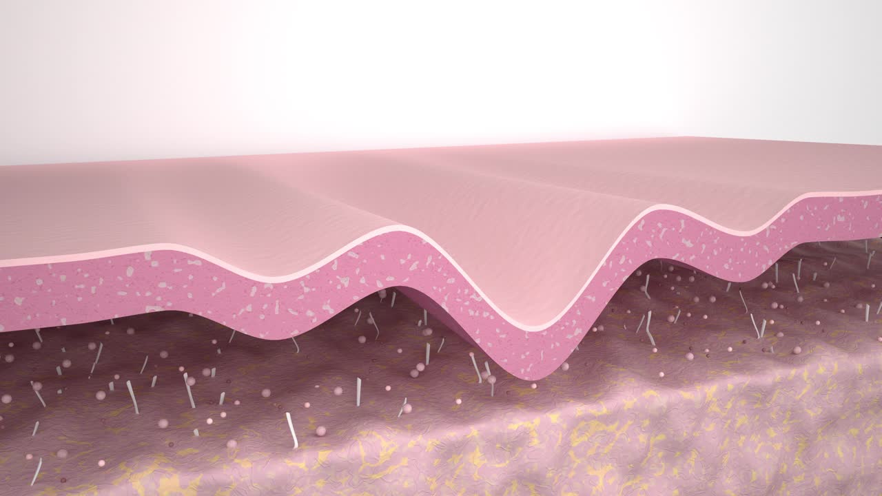 3D动画皮肤层平滑皱纹。护肤作用胶原修复作用抗衰老治疗作用视频素材