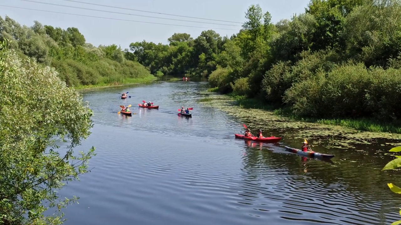 一群人正沿着一条美丽的河流划独木舟视频下载