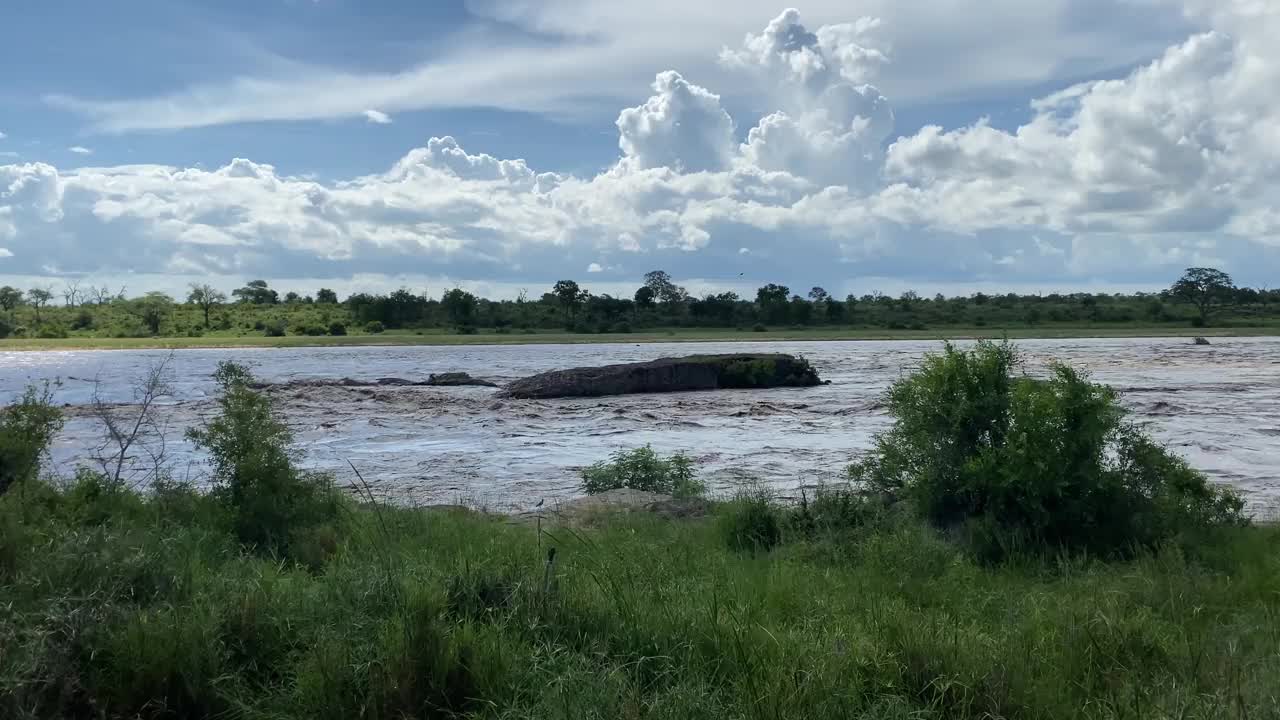 鳄鱼河洪水视频下载