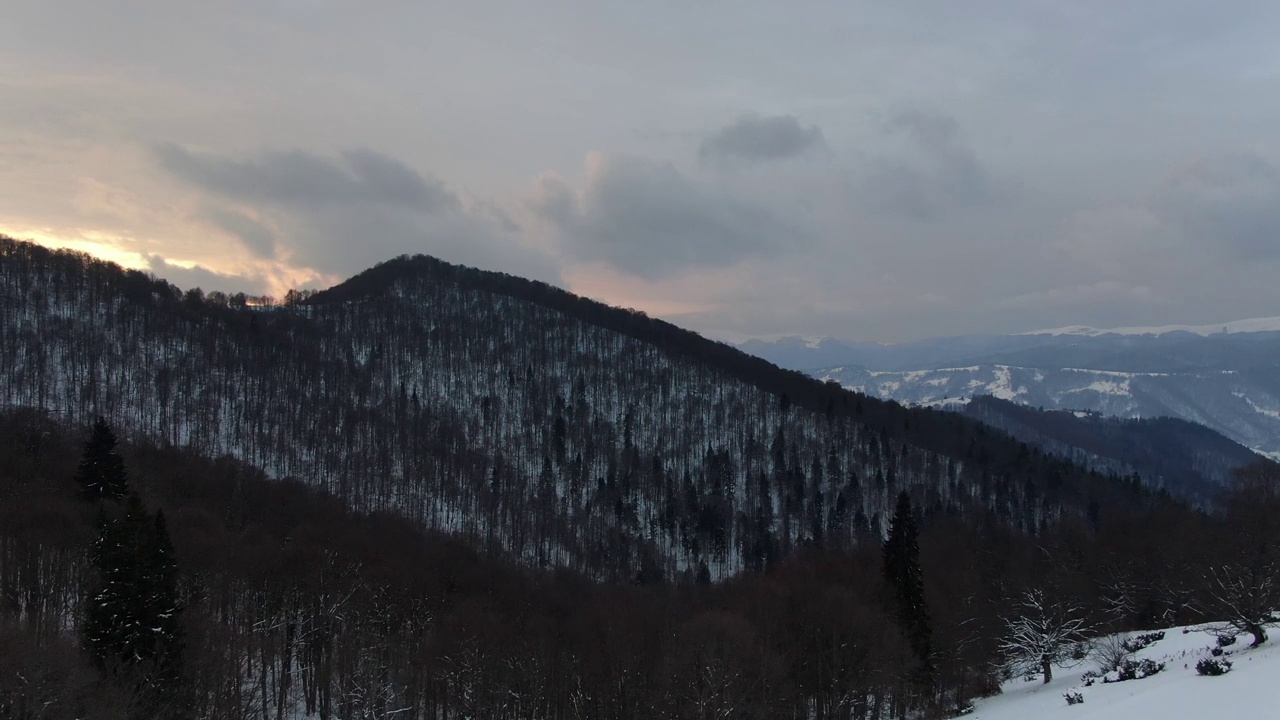 在雪山的冬季森林的无人机视图。喀尔巴阡山。乌克兰。佩特。视频素材