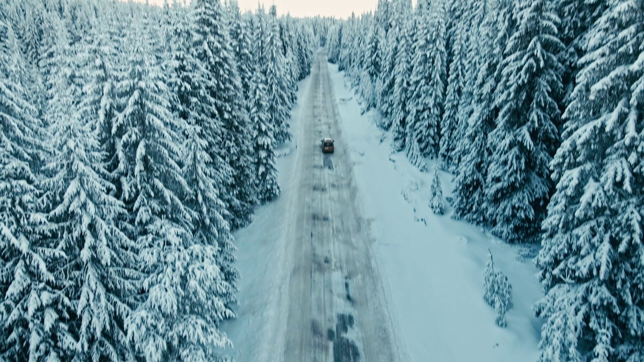 冬季鸟瞰图，在日出松林积雪的道路。视频素材