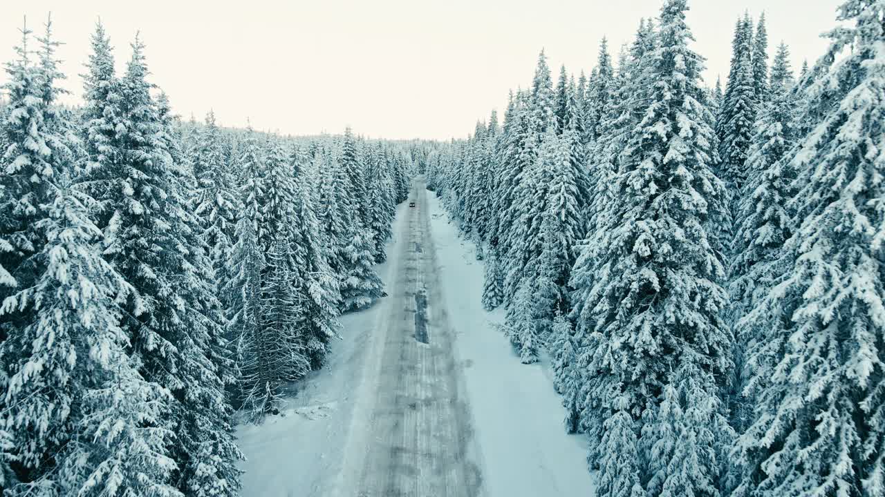 冬季鸟瞰图，在日出松林积雪的道路。视频素材