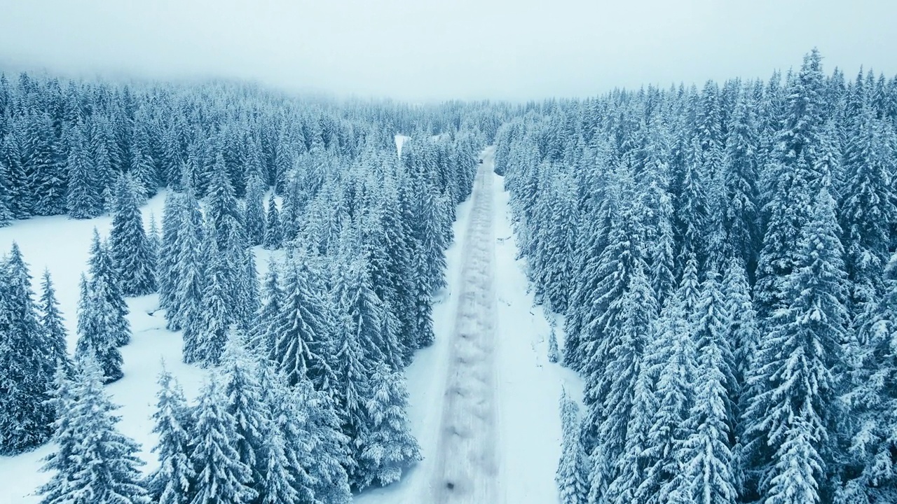 冬季鸟瞰图，在日出松林积雪的道路。视频素材