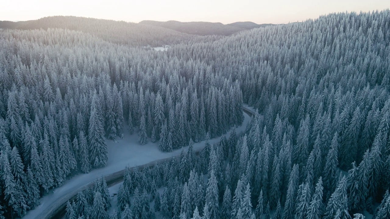 冬季鸟瞰图，在日出松林积雪的道路。视频素材