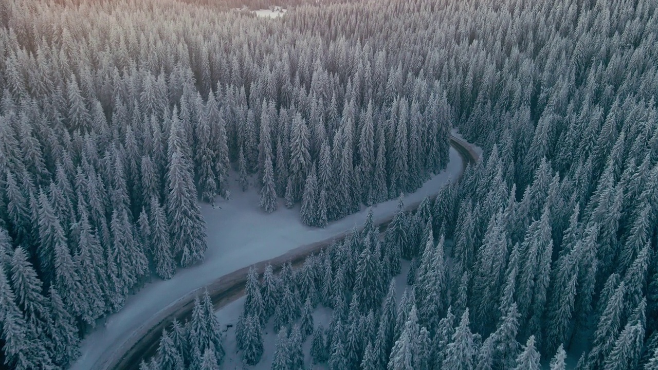 冬季鸟瞰图，在日出松林积雪的道路。视频素材