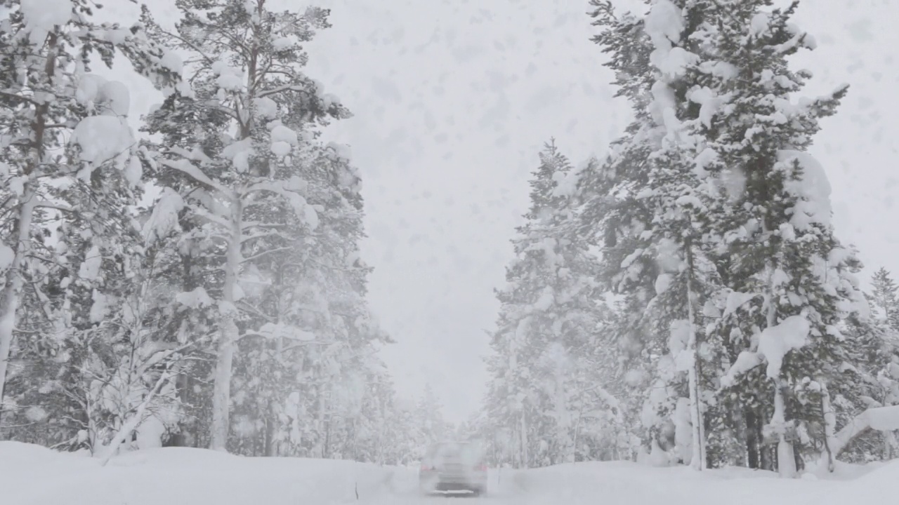 在冬天下雪的森林里的汽车视频素材