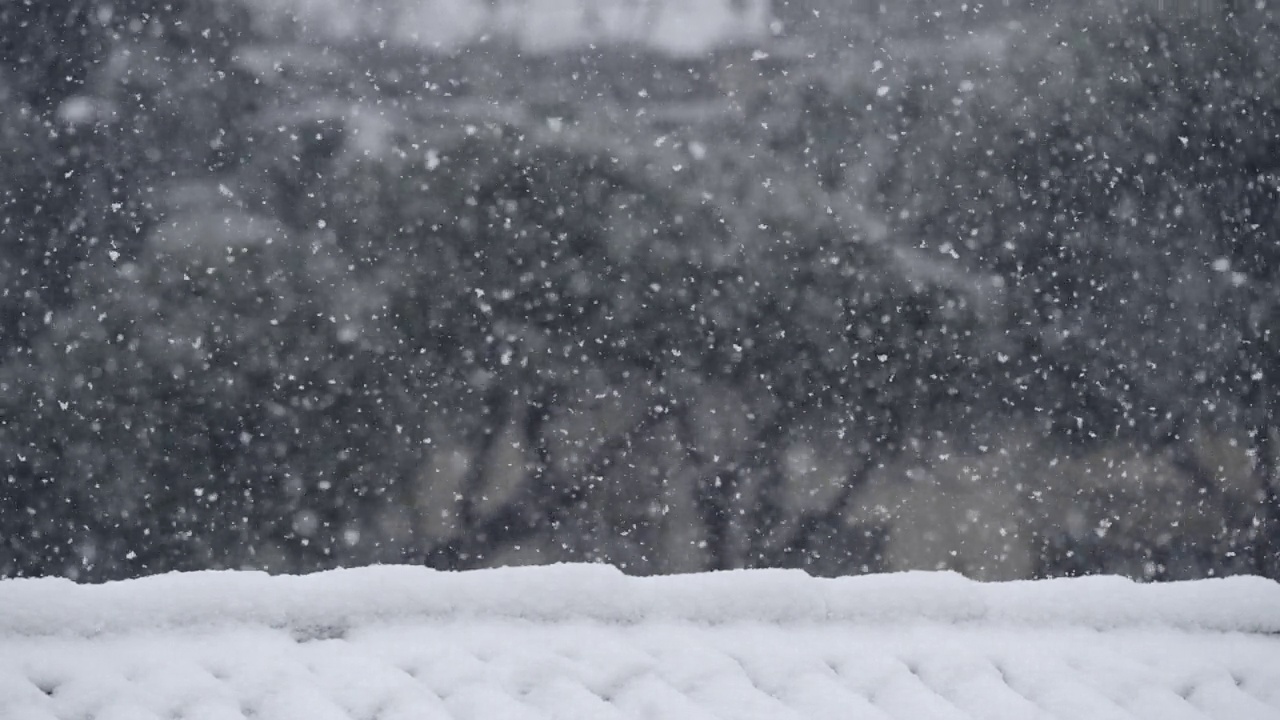 暴风雪时雪花落在屋顶上，松树落在屋后。缓慢的运动。视频素材