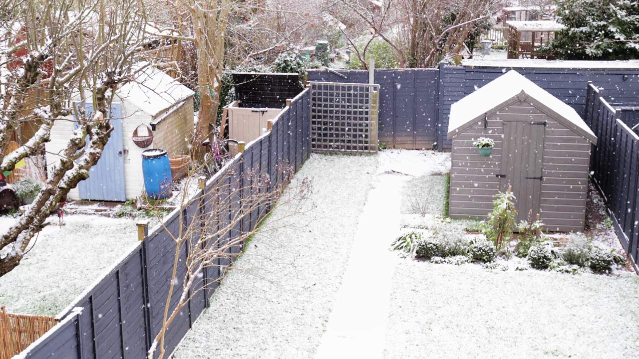 冬天，英国伦敦郊区的后花园飘着雪花视频素材