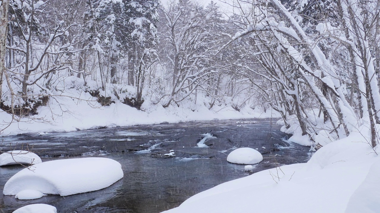 雪落在北海道森林溪视频素材