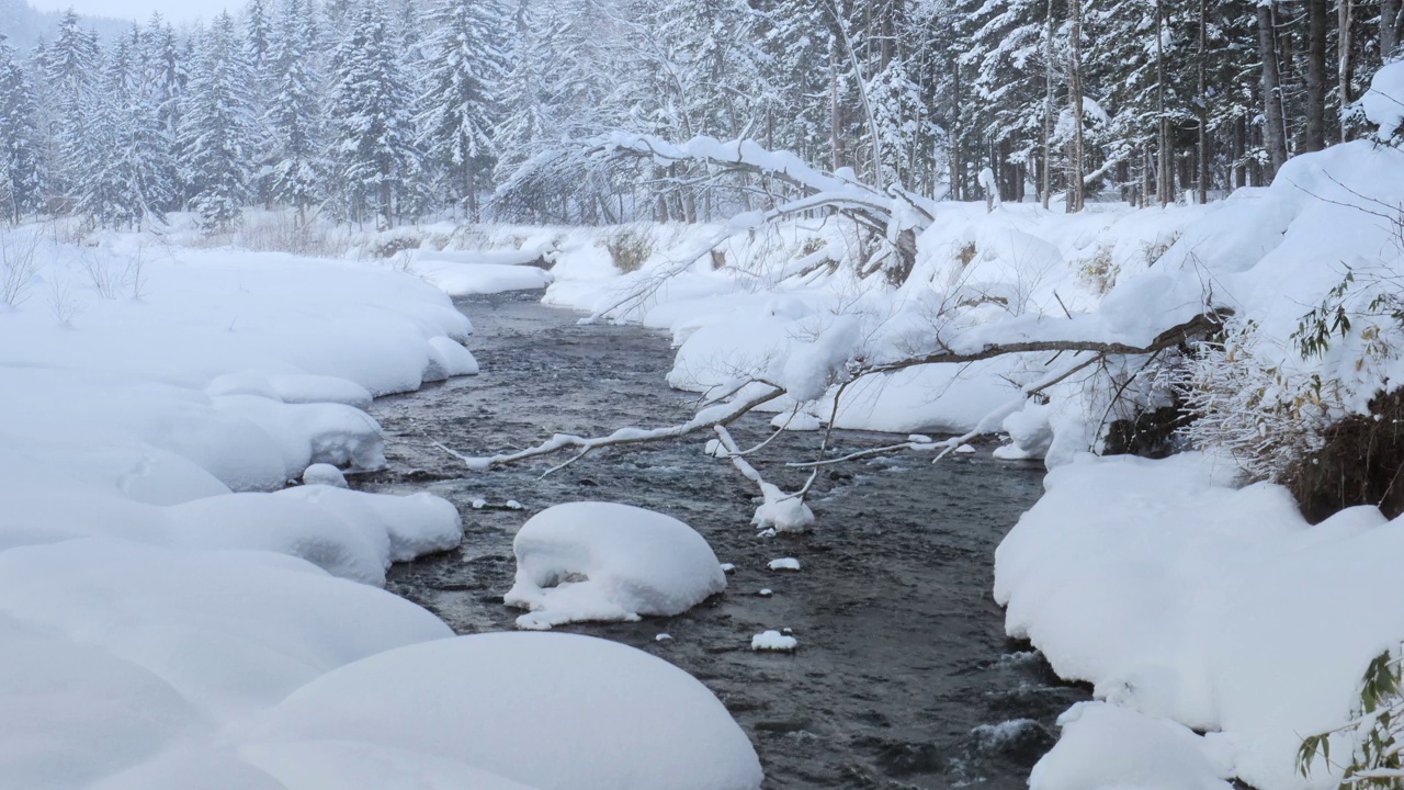 雪落在北海道森林溪视频素材