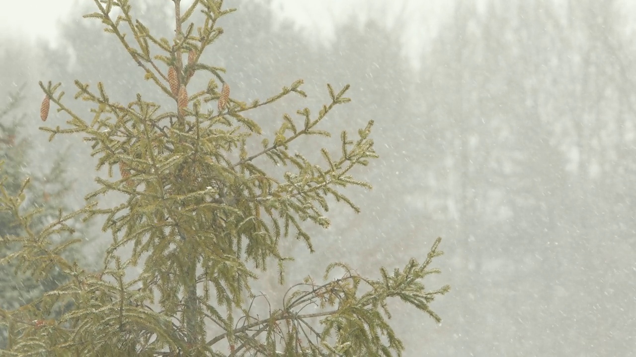 下雪在俄亥俄州视频素材