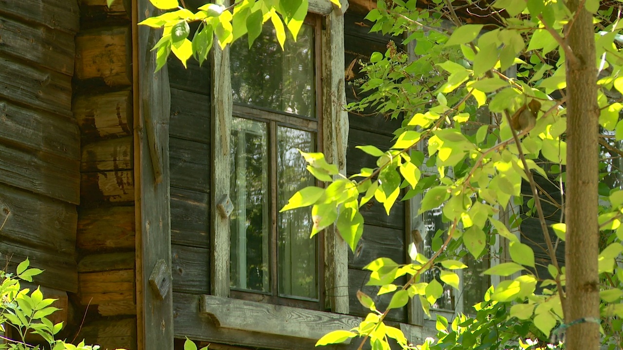 一个废弃的俄罗斯村庄的旧小屋视频素材