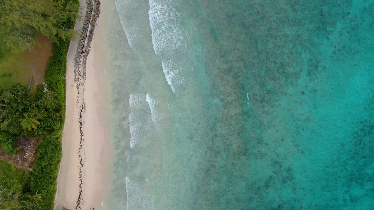 南木板路无人机在巴巴多斯阿克拉海滩拍摄视频素材