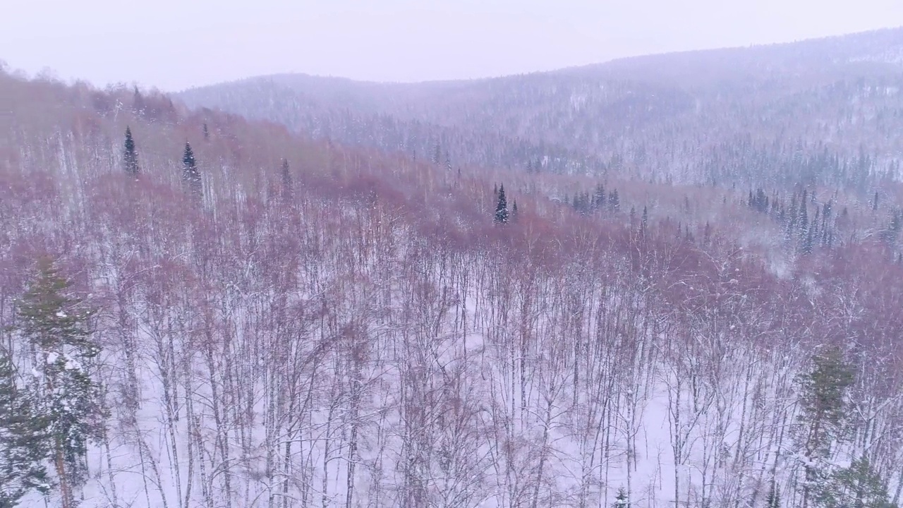 空中拍摄的山脉和冬季森林视频素材