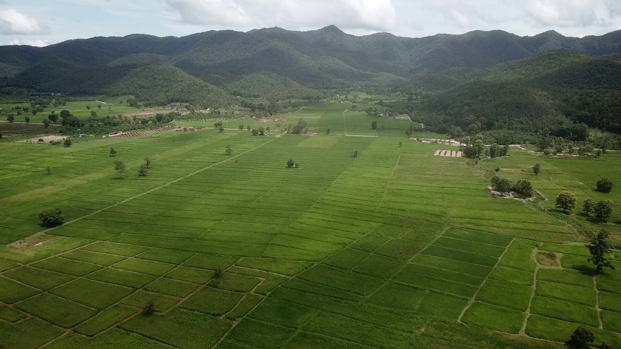 鸟瞰泰国农村的水稻种植园。视频素材