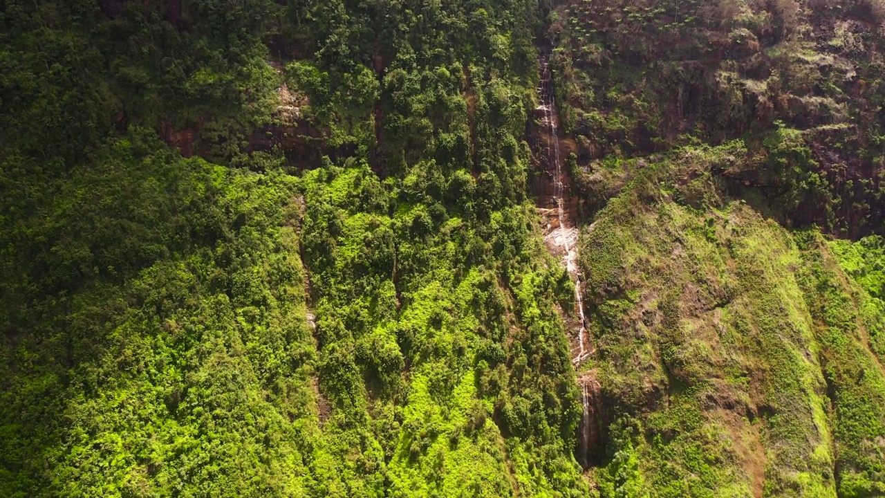 被丛林包围的山间峡谷中的瀑布视频素材