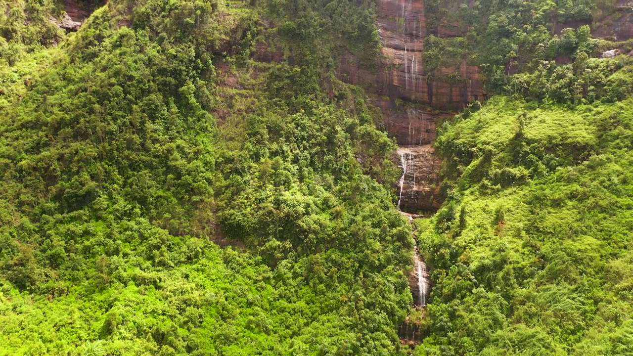 被丛林包围的山间峡谷中的瀑布视频素材