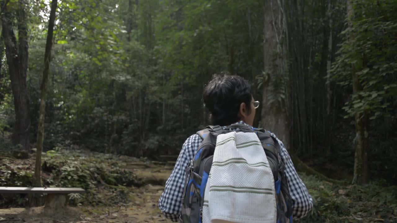 夏日清晨，一名女背包客在丛林中穿行。独自在泰国热带森林探险。视频素材