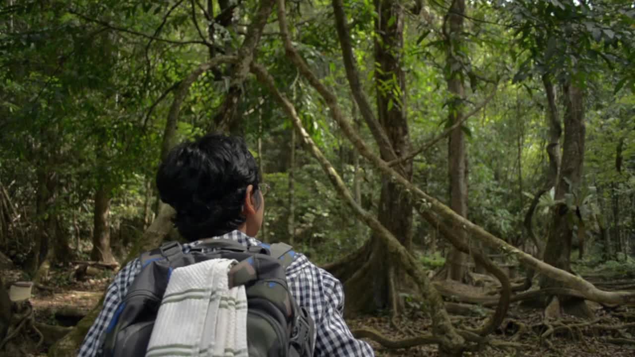 女背包客在夏天穿越丛林的后视图。亚洲女性徒步旅行者探索热带森林的自然。视频素材