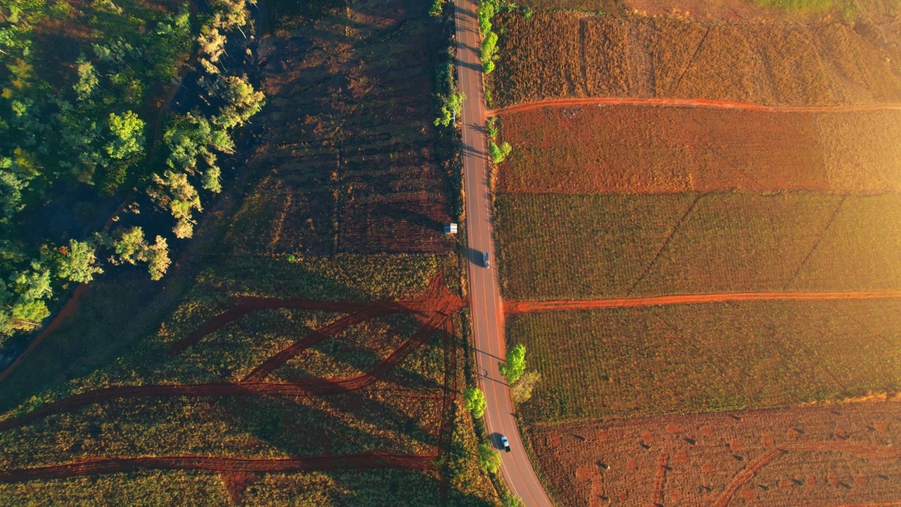 4K:鸟瞰图飞行在美丽的田野在日落。乡村风景。从上面鸟瞰图。视频下载