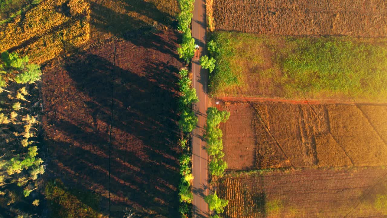 4K:鸟瞰图飞行在美丽的田野在日落。乡村风景。从上面鸟瞰图。视频素材