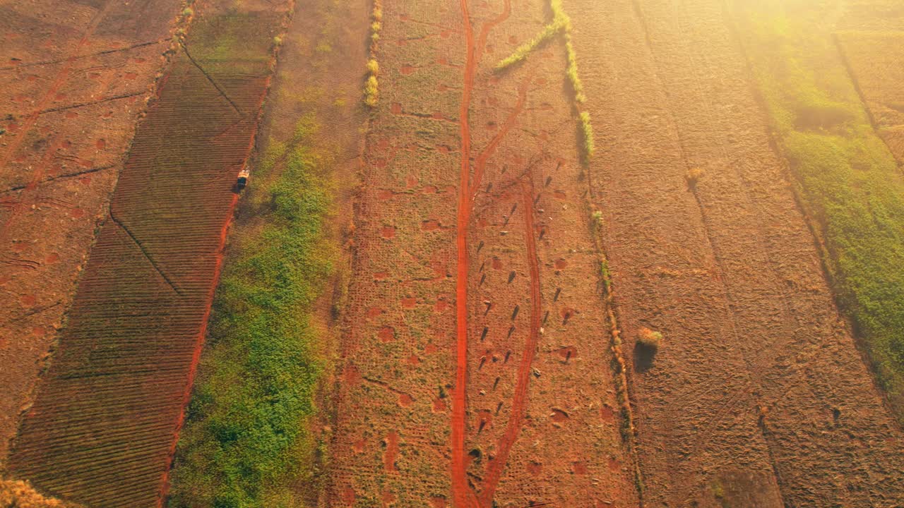 4K:在泰国，一架无人机在日出时分俯瞰乡村田野。视频素材