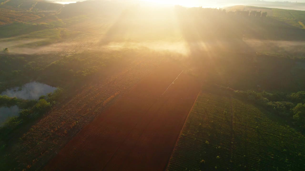 4K:鸟瞰图飞行在美丽的田野在日落。乡村风景。从上面鸟瞰图。视频素材