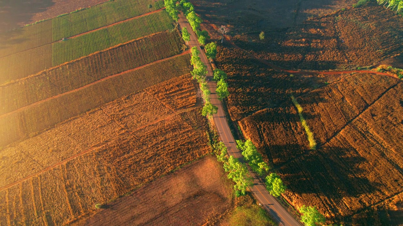 4K:在泰国，一架无人机在日出时分俯瞰乡村田野。视频素材