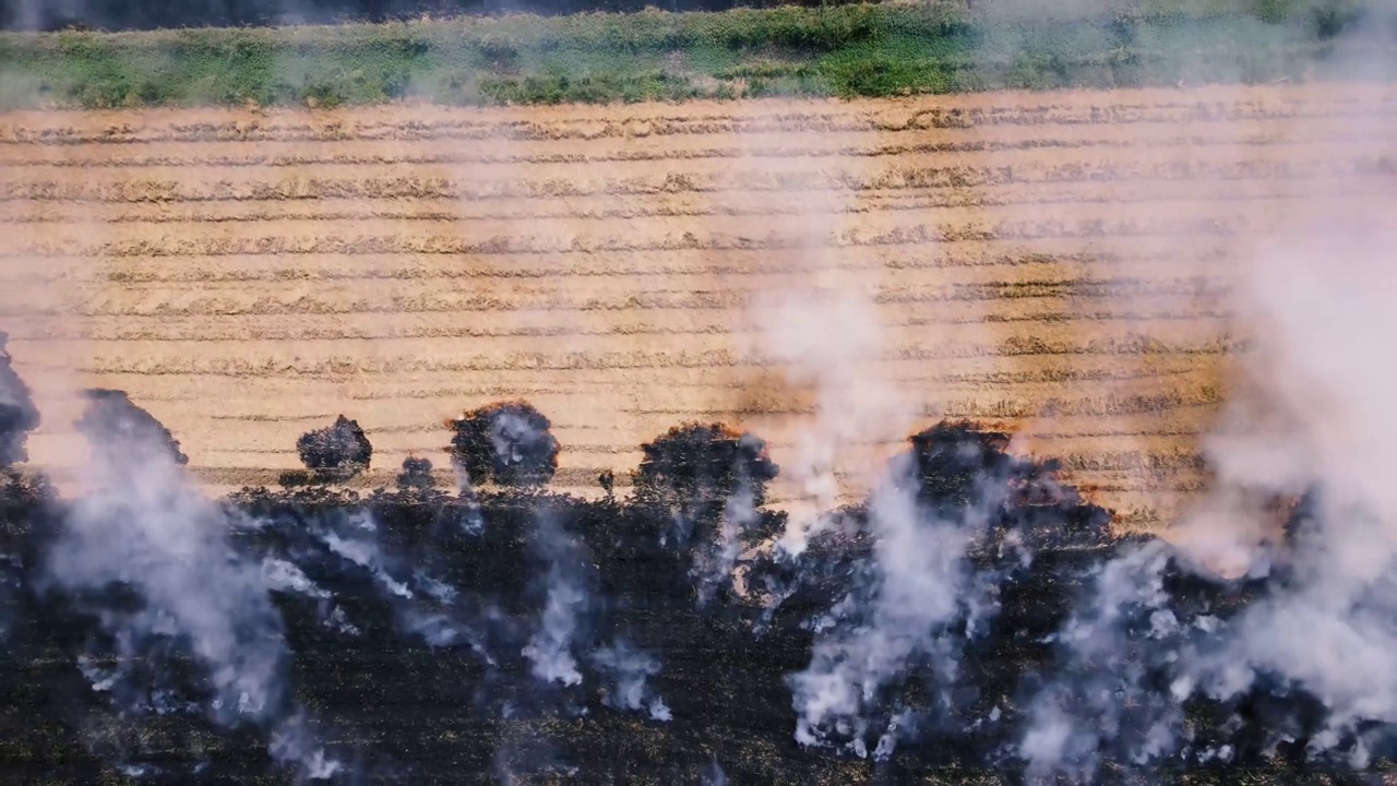 鸟瞰图，田野里燃烧的稻草视频素材