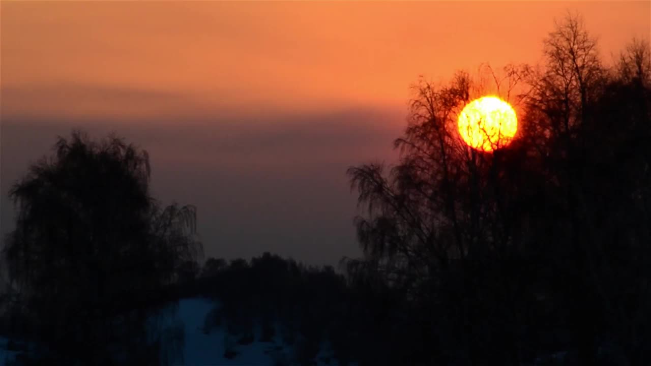 在冰封的冬天，光秃秃的森林里，夕阳被太阳染成红色视频素材