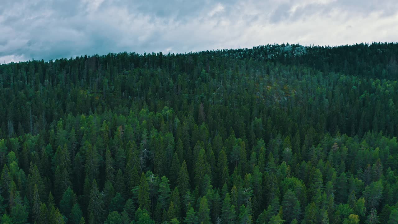 航拍的芬兰科利国家公园的小山在一个阴天的夏天，旁边的皮林湖视频下载