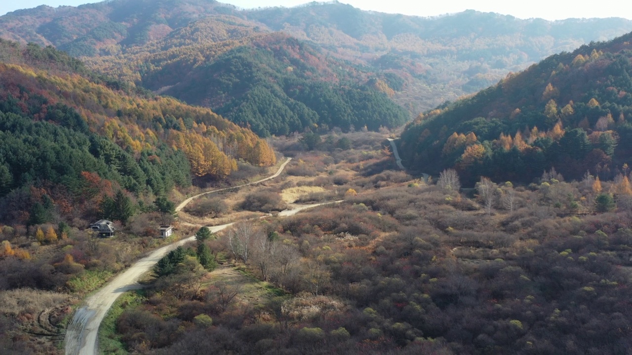 秋天——韩国江原道仁济郡秘密花园的枫树视频素材