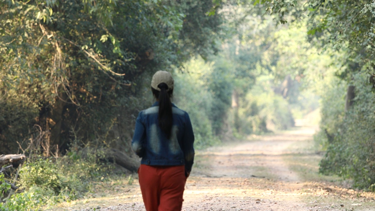 后视图的年轻女子走在道路上的森林视频素材