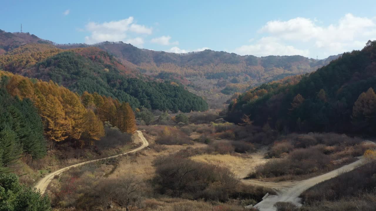 秋天的自然风景——秘密花园/江原道麟溪郡，韩国视频素材