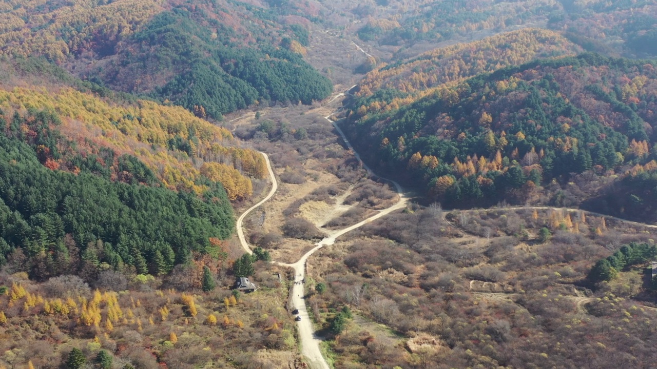 秋天的自然风景——秘密花园/江原道麟溪郡，韩国视频素材