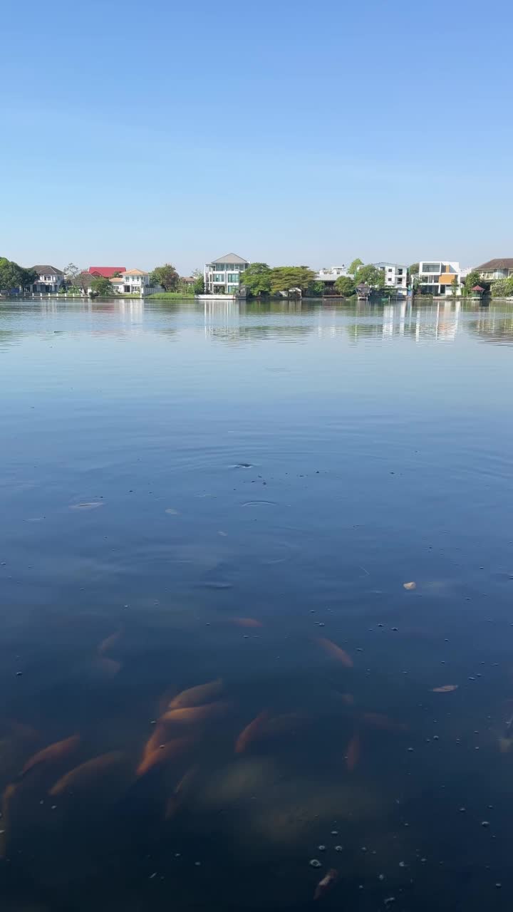 海湾和城市景观视频素材