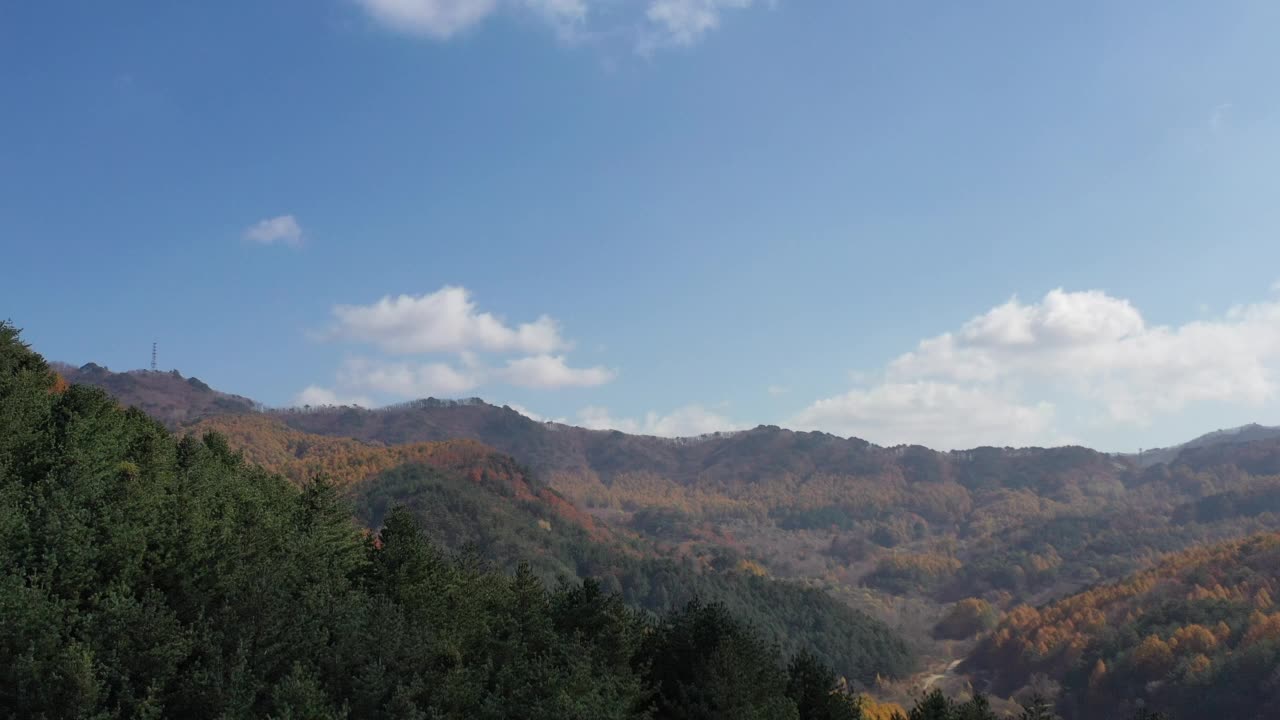 秋天的自然风景——秘密花园/江原道麟溪郡，韩国视频素材