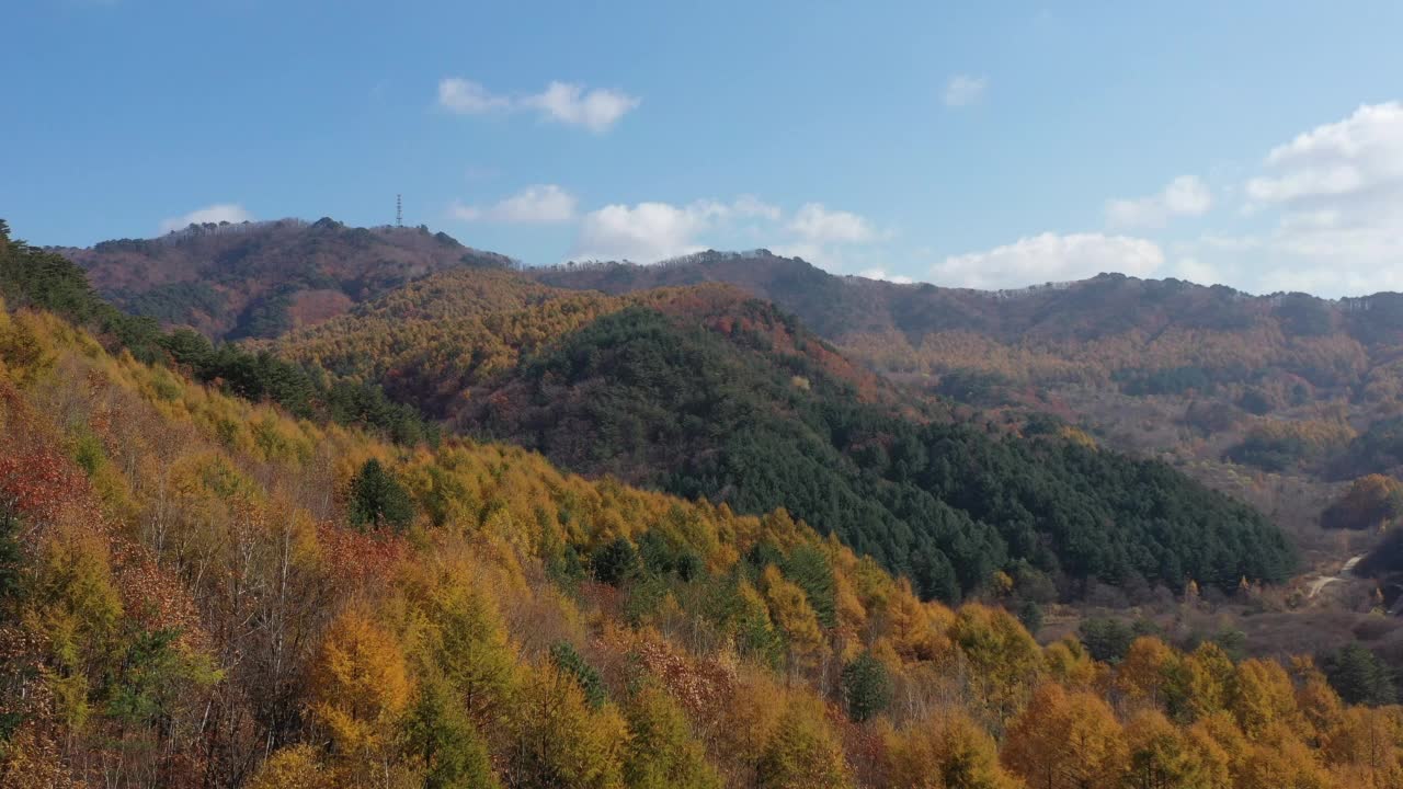 秋天的自然风景——秘密花园/江原道麟溪郡，韩国视频素材