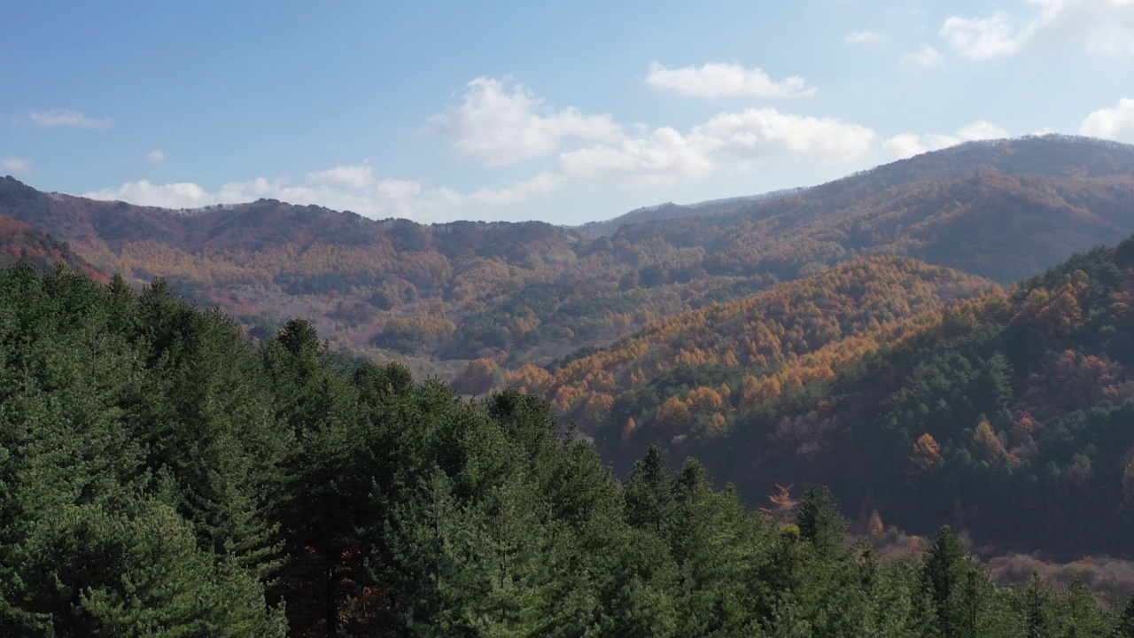 秋天的自然风景——秘密花园/江原道麟溪郡，韩国视频素材