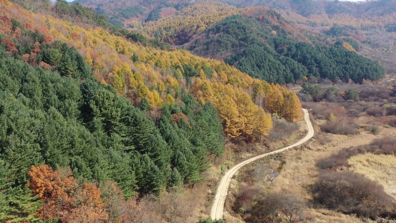 秋天的自然风景——秘密花园/江原道麟溪郡，韩国视频素材