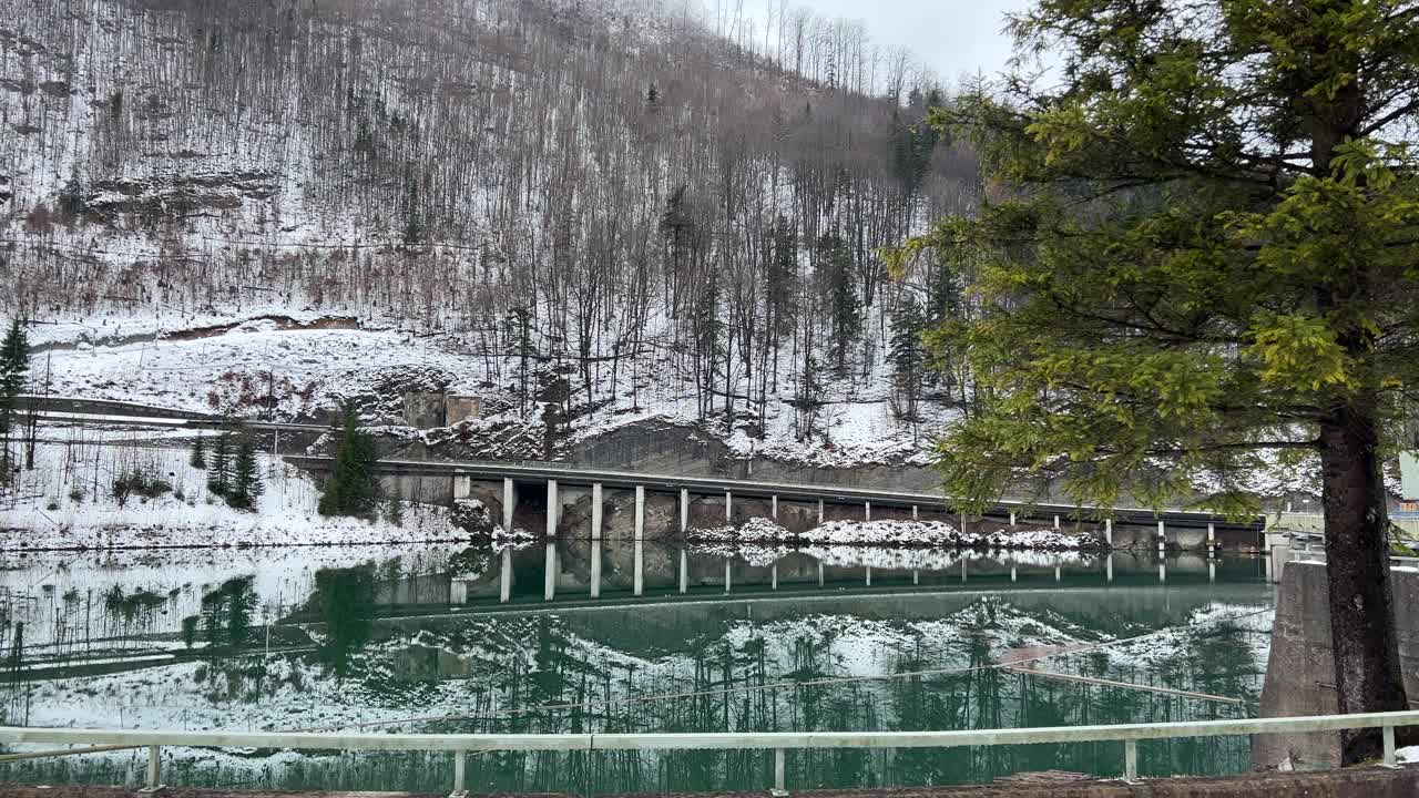 上奥地利冬季冷杉树绿水水库的跟踪拍摄视频素材