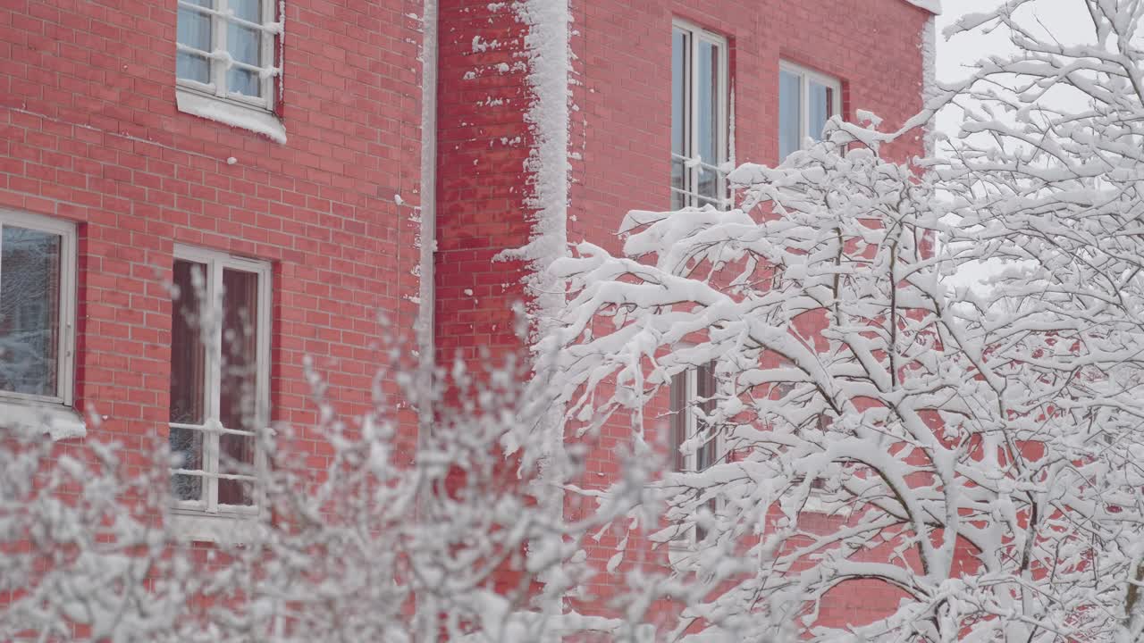 白雪皑皑的树，红砖砌的墙视频素材