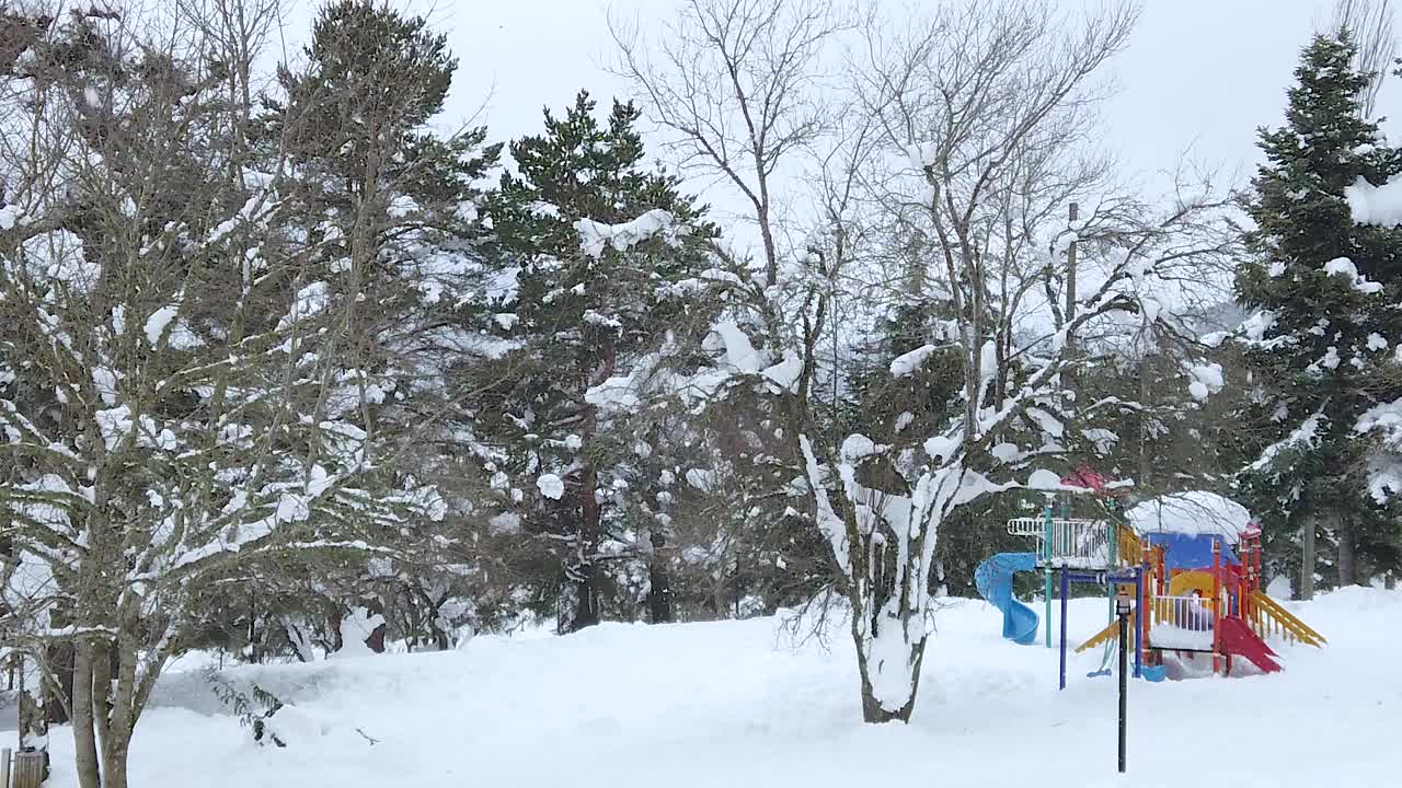 公园里下雪了视频素材