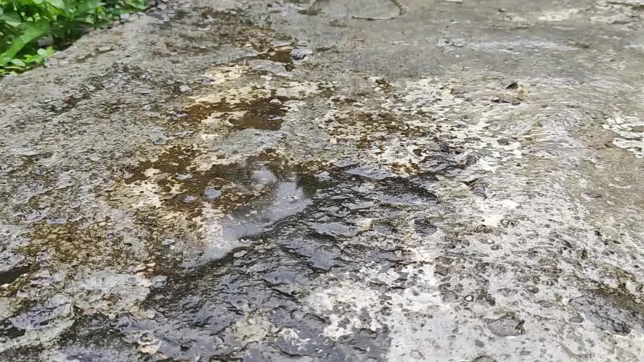 视频画面，雨水落在肮脏的水泥地上，雨季开始了。视频素材