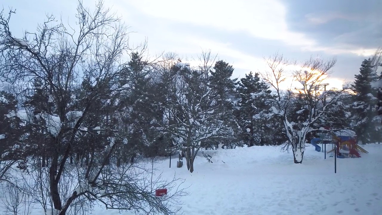 公园里下雪了视频素材