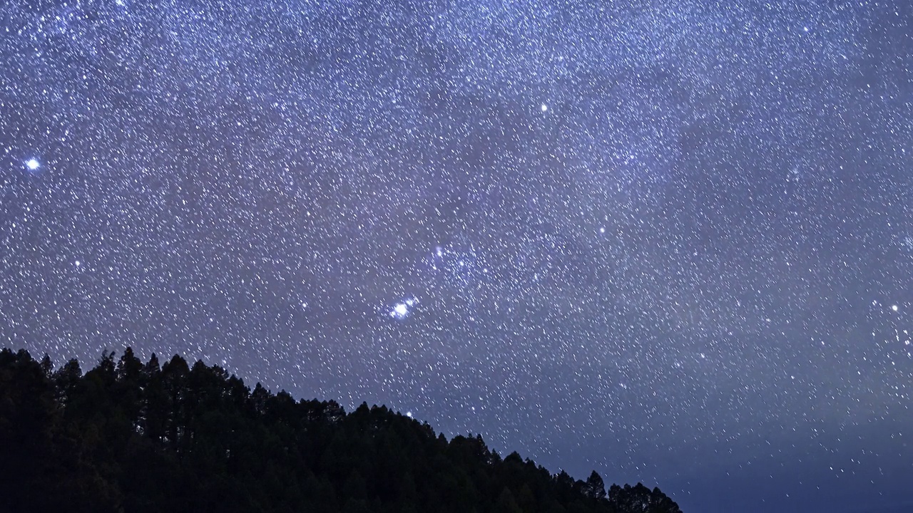 闪亮的月亮和星空，前景中的森林。视频素材