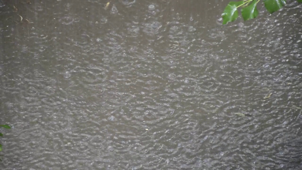 大雨倾盆而下视频素材